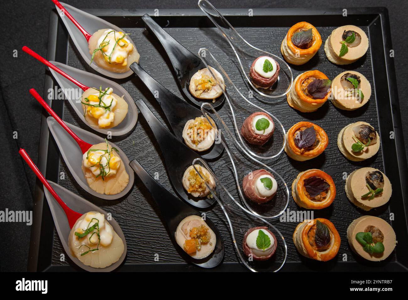 Esposizione a tema nero di stuzzichini sul cucchiaio e sul vassoio pronti per essere serviti durante l'evento. Colori, consistenze, ingredienti diversi. Un boccone da assaporare. Foto Stock