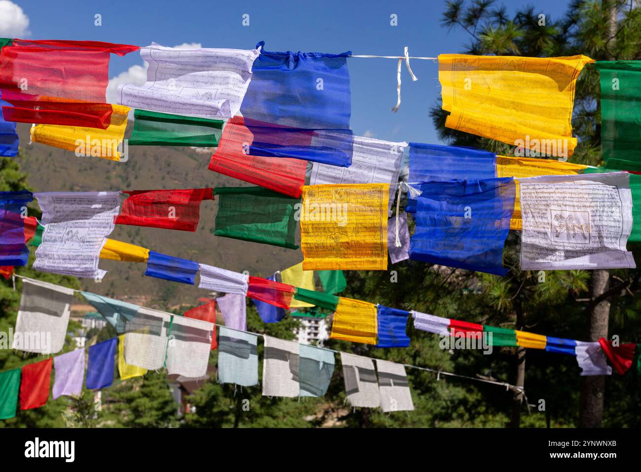 Una vivace mostra di bandiere di preghiera colorate che sventolano nel vento sullo sfondo di un cielo azzurro Foto Stock