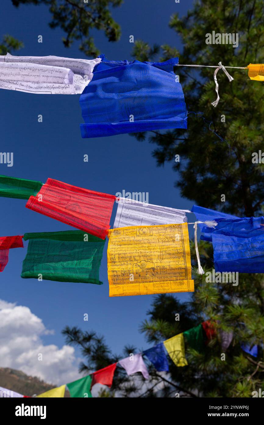 Una vivace mostra di bandiere di preghiera colorate che sventolano nel vento sullo sfondo di un cielo azzurro Foto Stock