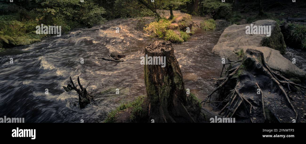 Cascate di Golitha. Un'immagine panoramica del fiume Fowey che scorre attraverso l'antico bosco di Draynes Wood sul Bodmin Moor in Cornovaglia nel Regno Unito. Foto Stock