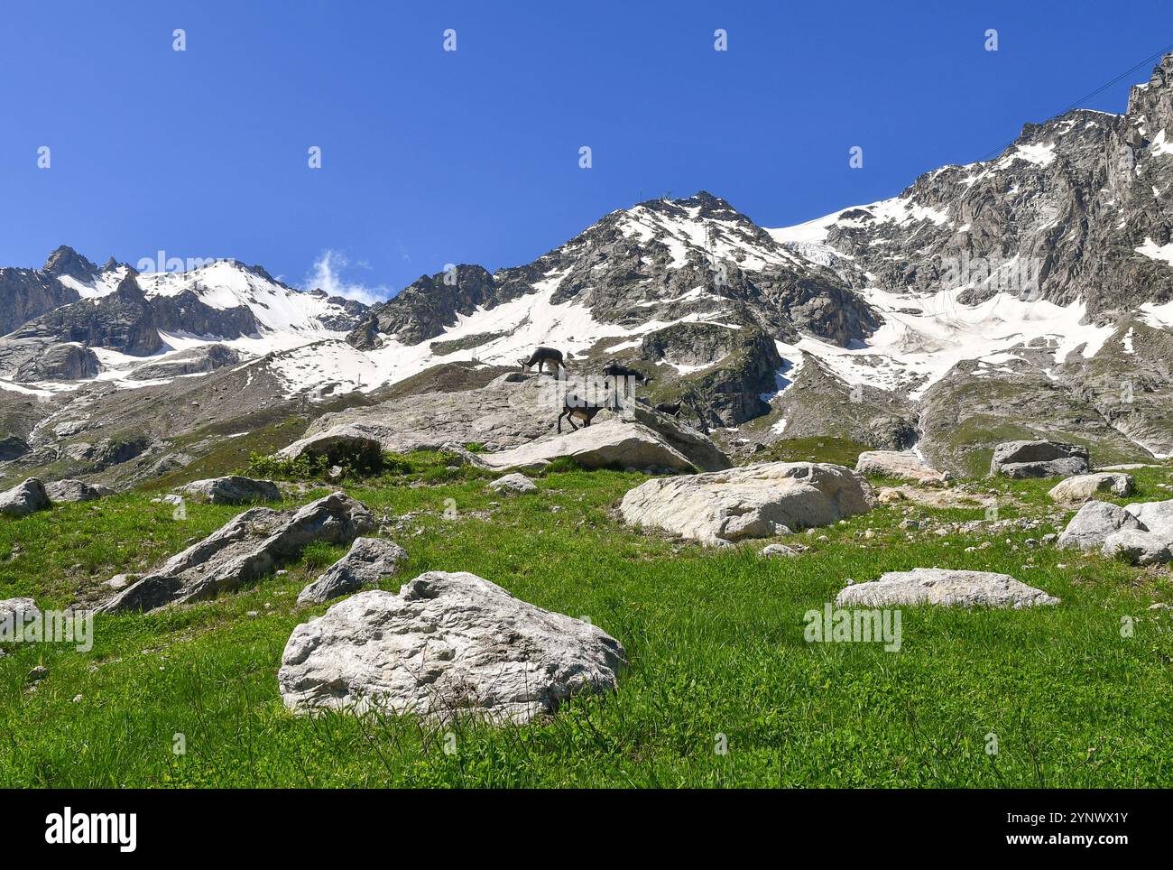 Vista del massiccio del Monte bianco dal Padiglione della Skyway Monte bianco, con sculture di stambecchi su roccia in estate, Courmayeur, Valle d'Aosta, Italia Foto Stock