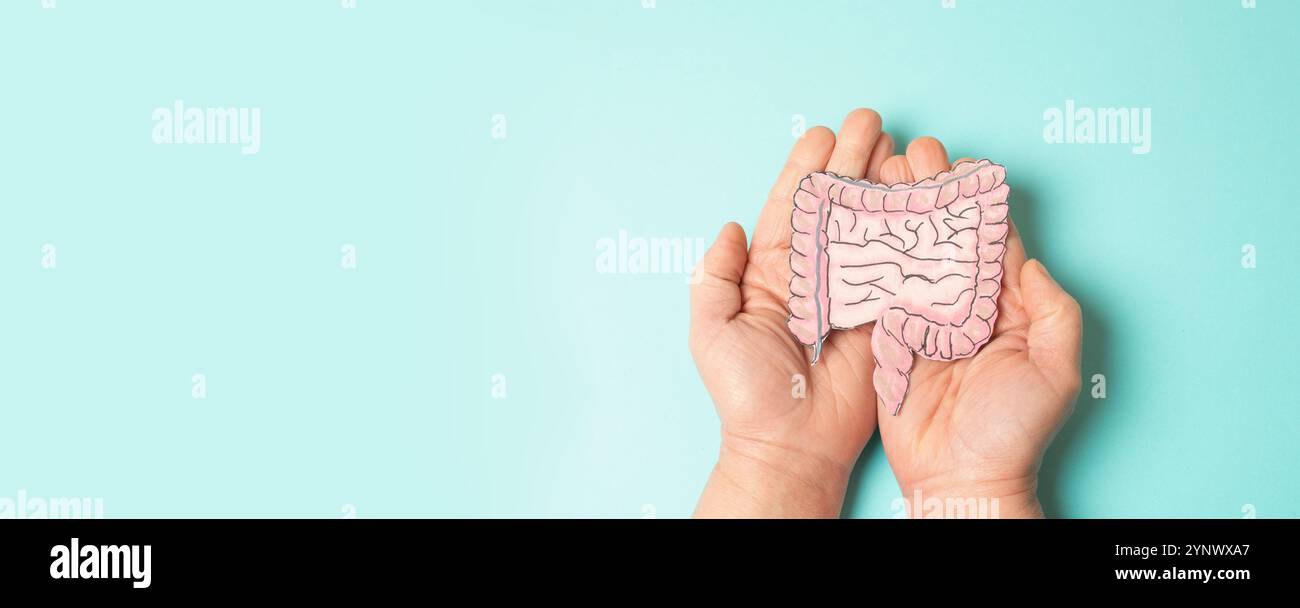 Colon, cancro colorettale o rettale, malattia infiammatoria intestinale, perdita di peso, dolore addominale e affaticamento, Morbus Crohn, colite ulcerosa, S digestivo Foto Stock