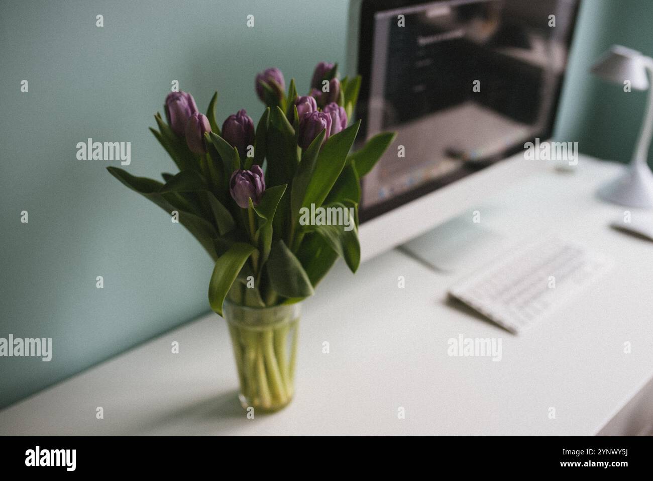 un bellissimo bouquet di tulipani color lavanda sulla scrivania Foto Stock