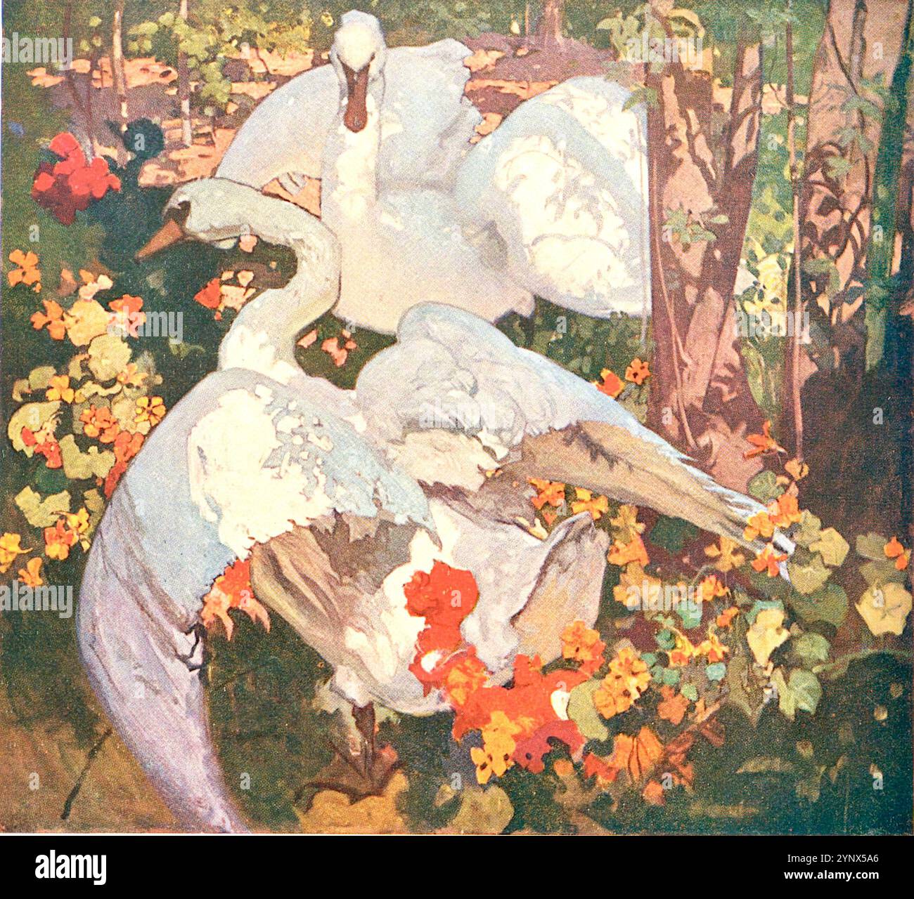 Frank Brangwyn - The Swans - Swans and Nasturtiums - c1921 Foto Stock
