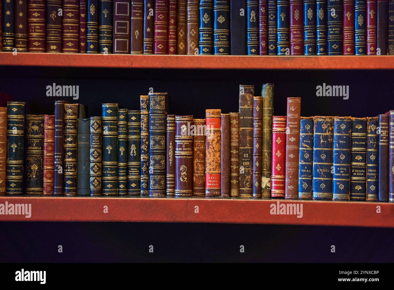 Un'immagine di una libreria piena di pubblicazioni in una libreria Foto Stock