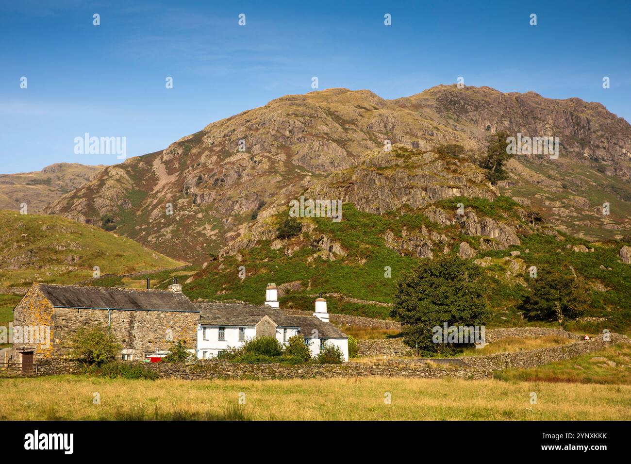 Regno Unito, Inghilterra, Cumbria, Langdale, Fell Foot Farm ai piedi del passo di Wrynose Foto Stock