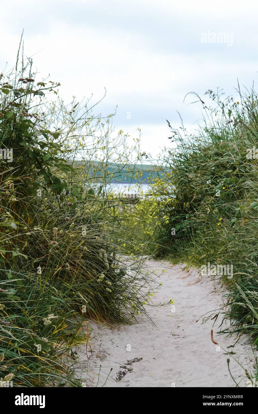 Percorso costiero che conduce a una spiaggia aperta e appartata sulla costa meridionale dell'Inghilterra Foto Stock