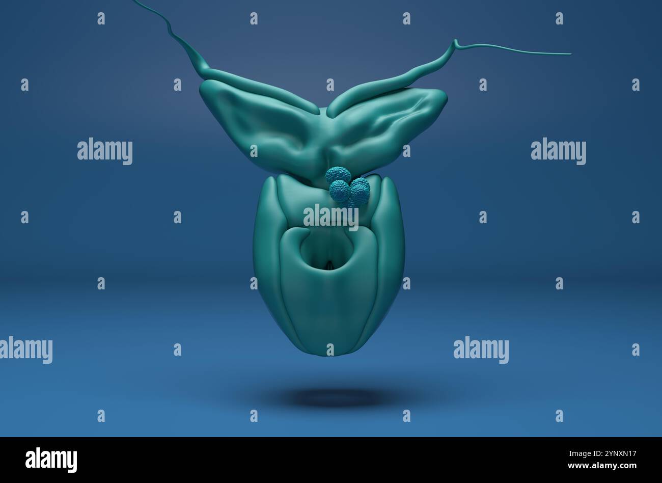 Cellule tumorali della prostata nell'epitelio ghiandolare prostatico - vista isometrica 3D illustrazione Foto Stock