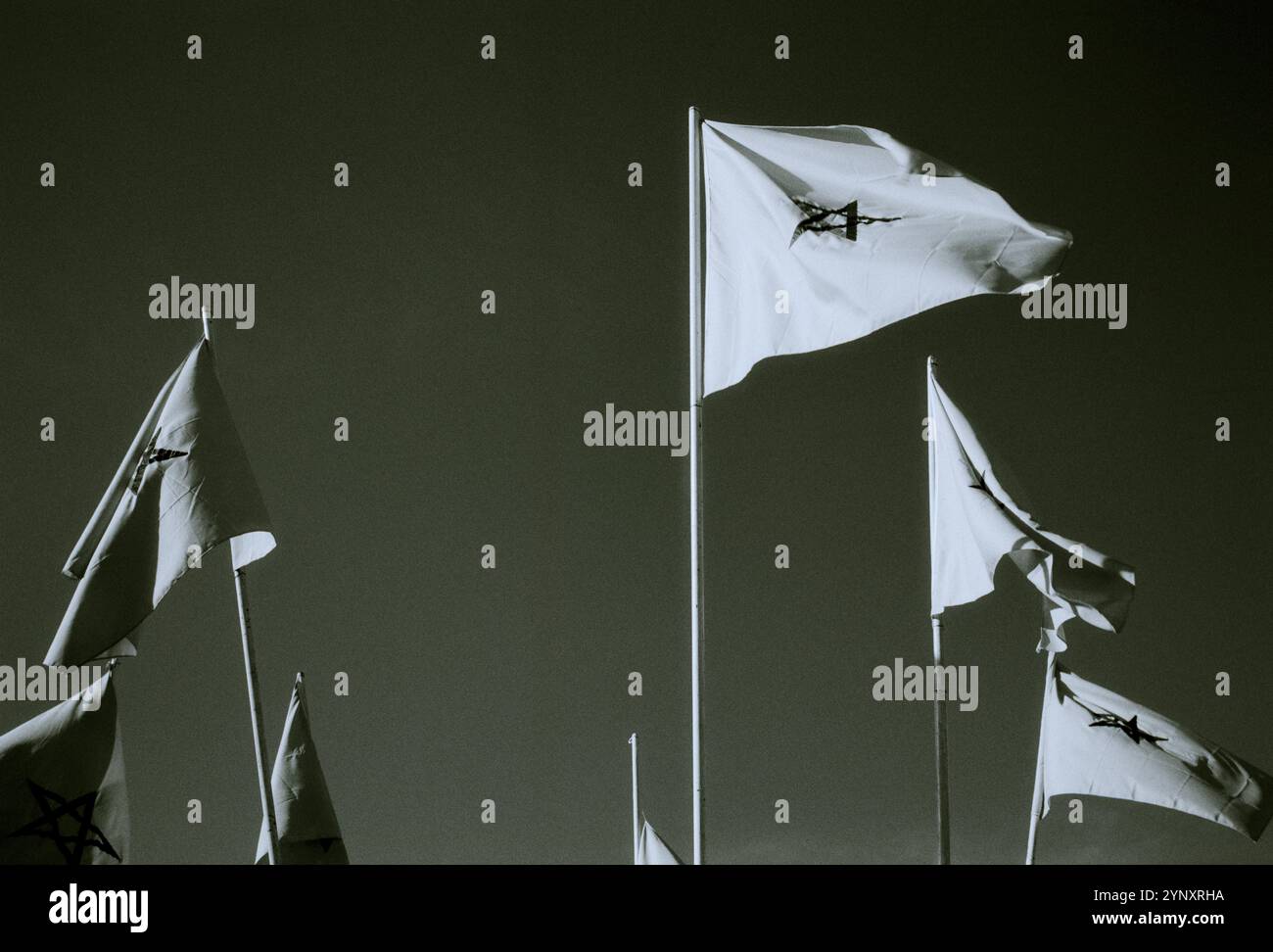 Bandiera marocchina. La bandiera del Marocco sventola per le strade dell'antica città di Marrakech in Marocco nel Maghreb sahariano in Nord Africa Foto Stock