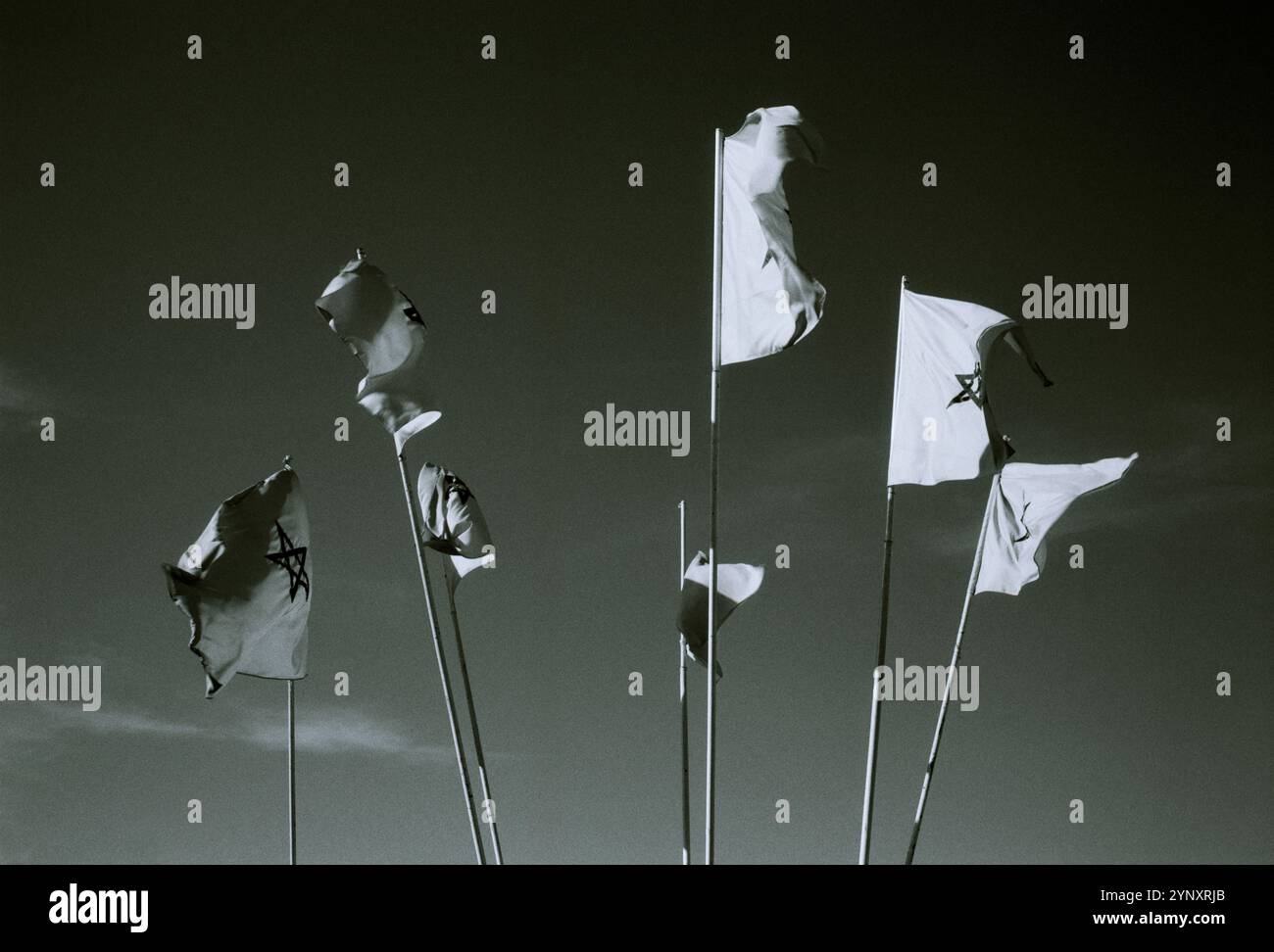 Bandiera marocchina. La bandiera del Marocco sventola per le strade dell'antica città di Marrakech in Marocco nel Maghreb sahariano in Nord Africa Foto Stock