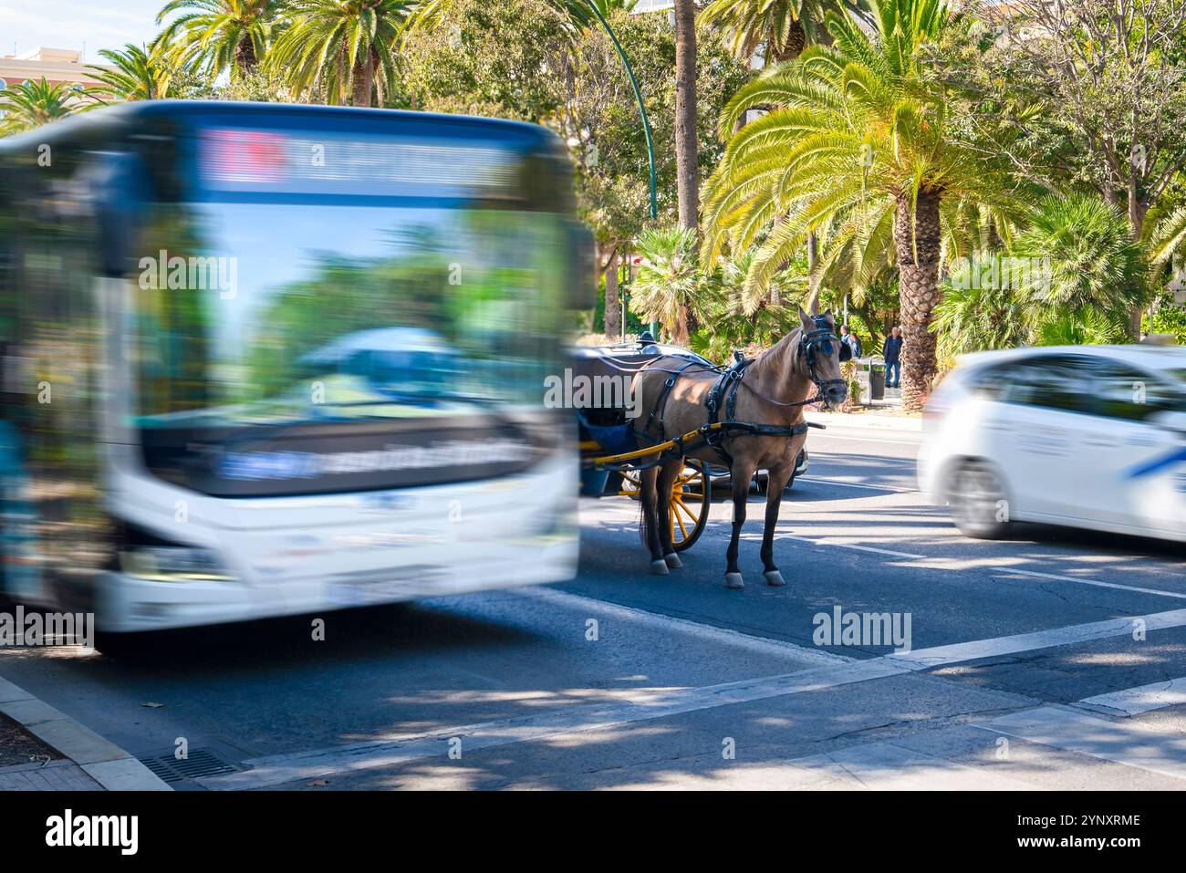 Carrozza trainata da cavalli e veicoli a motore che circolano nel traffico Foto Stock
