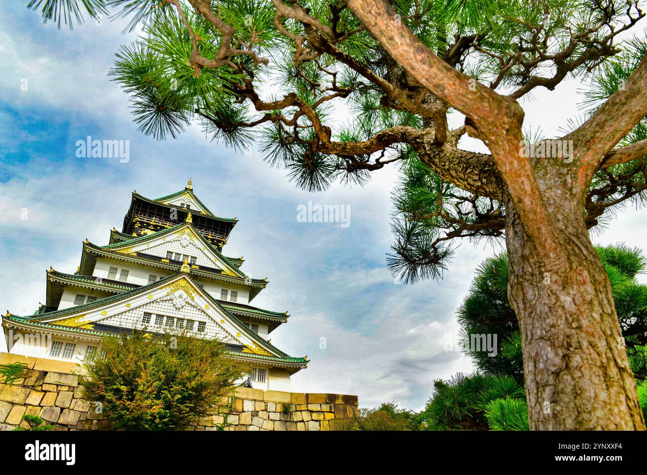 Il castello di Osaka è un castello giapponese situato a Chuo Ward, nella città di Osaka, in Giappone. È uno dei castelli più famosi del Giappone. Foto Stock