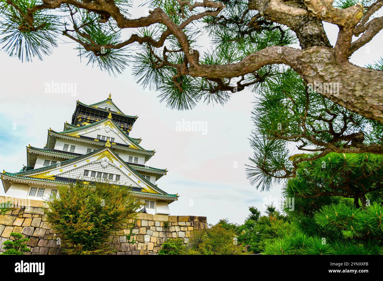 Il castello di Osaka è un castello giapponese situato a Chuo Ward, nella città di Osaka, in Giappone. È uno dei castelli più famosi del Giappone. Foto Stock
