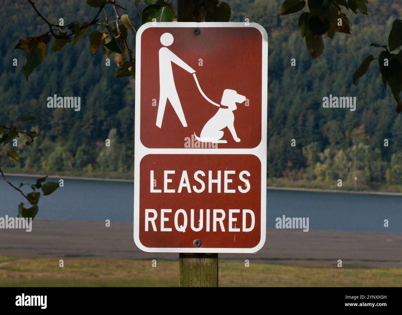 Cartello con i guinzagli obbligatorio sul bordo di un lago, Oregon, Stati Uniti Foto Stock