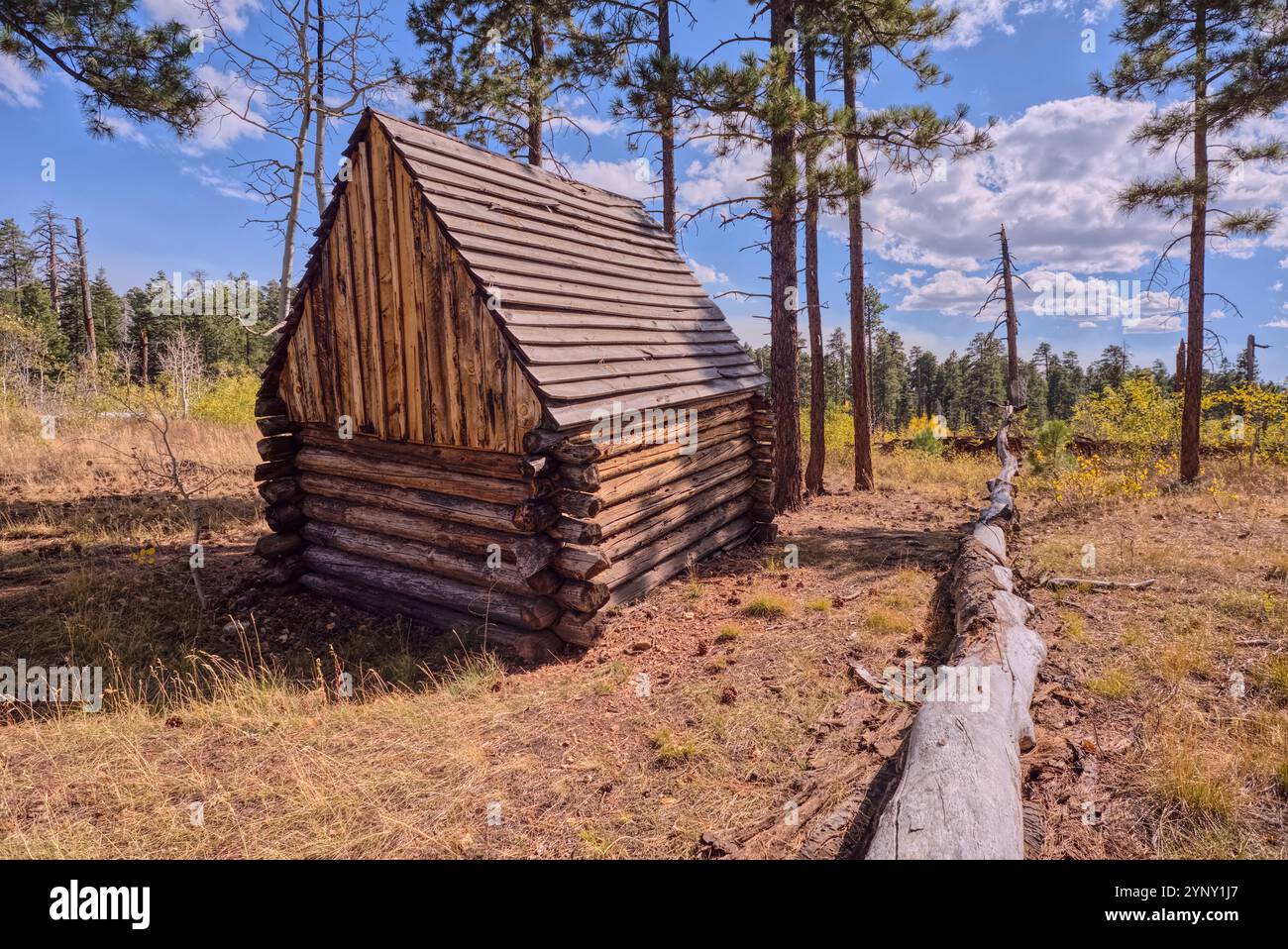 La storica Salt Cabin, il lago Greenland, il North Rim, il Grand Canyon National Park, Arizona, Stati Uniti Foto Stock