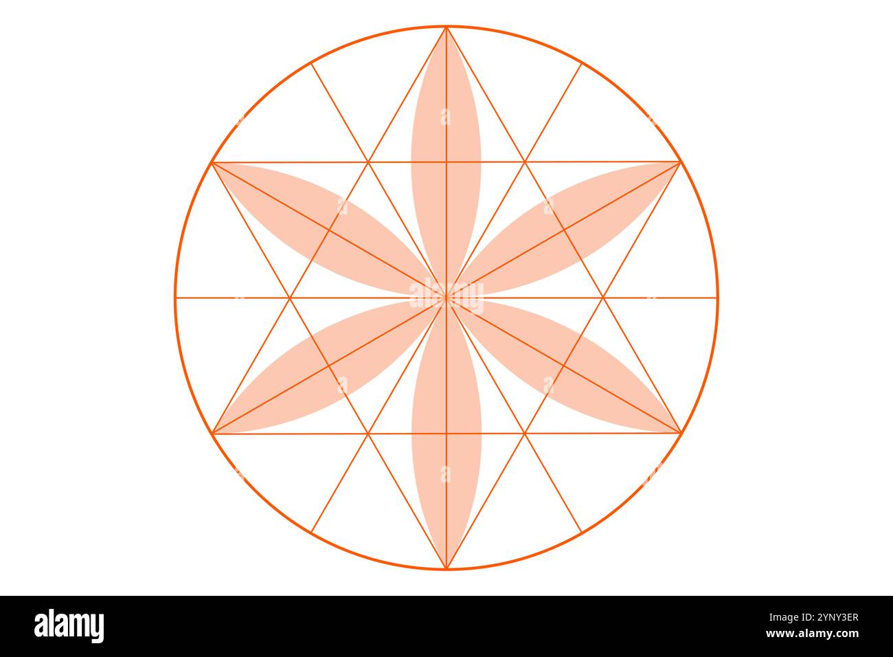 Fiore della vita, geometria sacra. fiore di loto. Icona mandala ornamento Seed of Life, simbolo esoterico o spirituale. Design line art con logo isolato Illustrazione Vettoriale