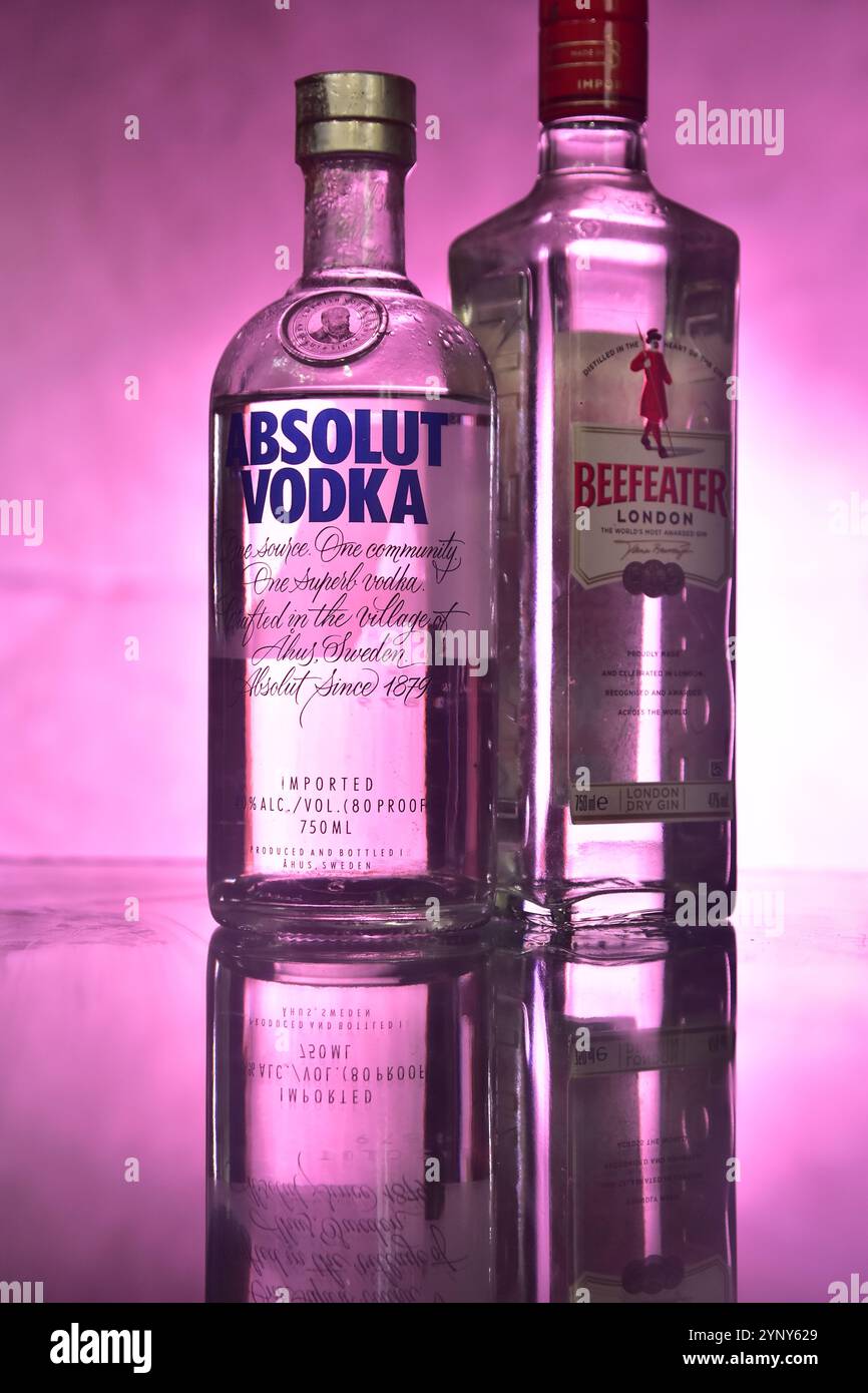 Bottiglia di Absolute Vodka e Beefeater Gin Foto Stock