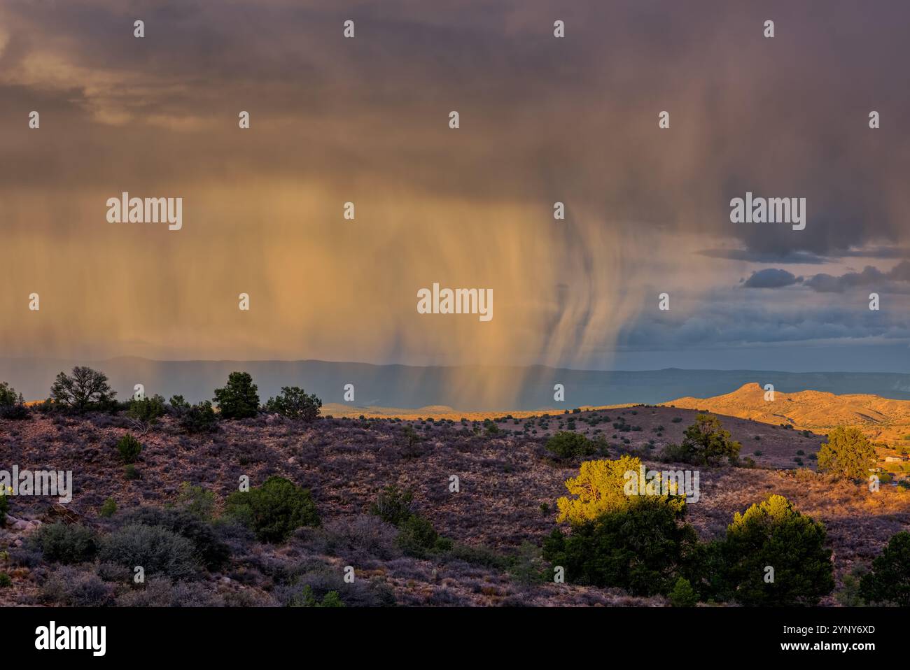 Tempesta autunnale in avvicinamento alla Chino Valley al tramonto, Arizona, Stati Uniti Foto Stock