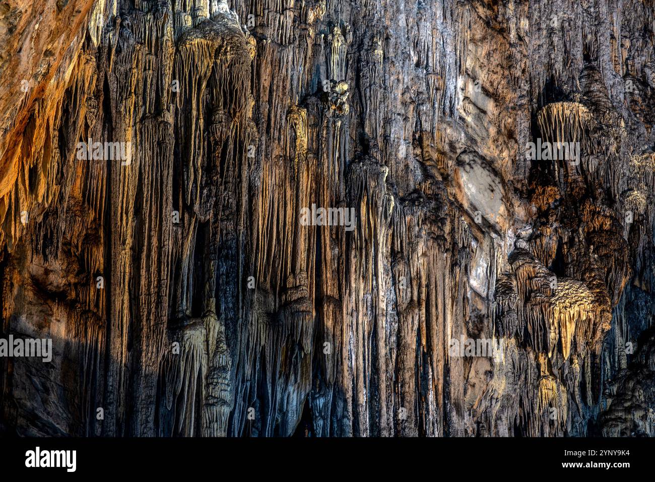 I visitatori si meravigliano davanti alle formazioni rocciose mozzafiato all'interno del Cacahuamilpa Caves National Park, che mostrano l'arte della natura. Le stalattiti uniche e. Foto Stock