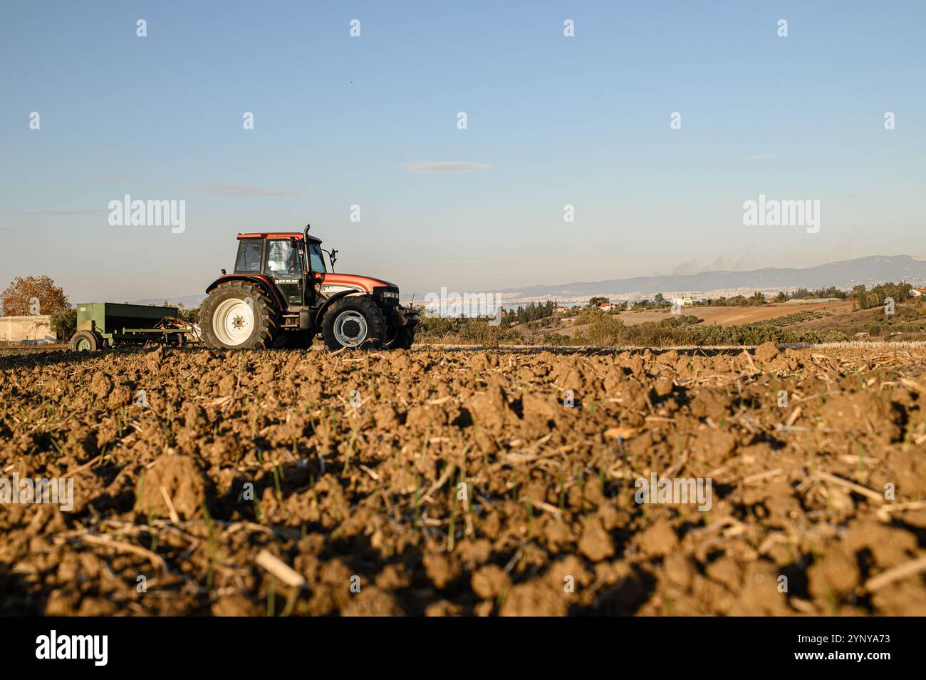 tecnologia agricola e coltivazione in campo Foto Stock