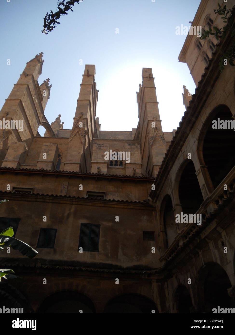 Alte guglie gotiche si innalzano contro un cielo luminoso, mostrando intricati lavori in pietra e design storico. La vegetazione lussureggiante incornicia il cortile, invitante explora Foto Stock