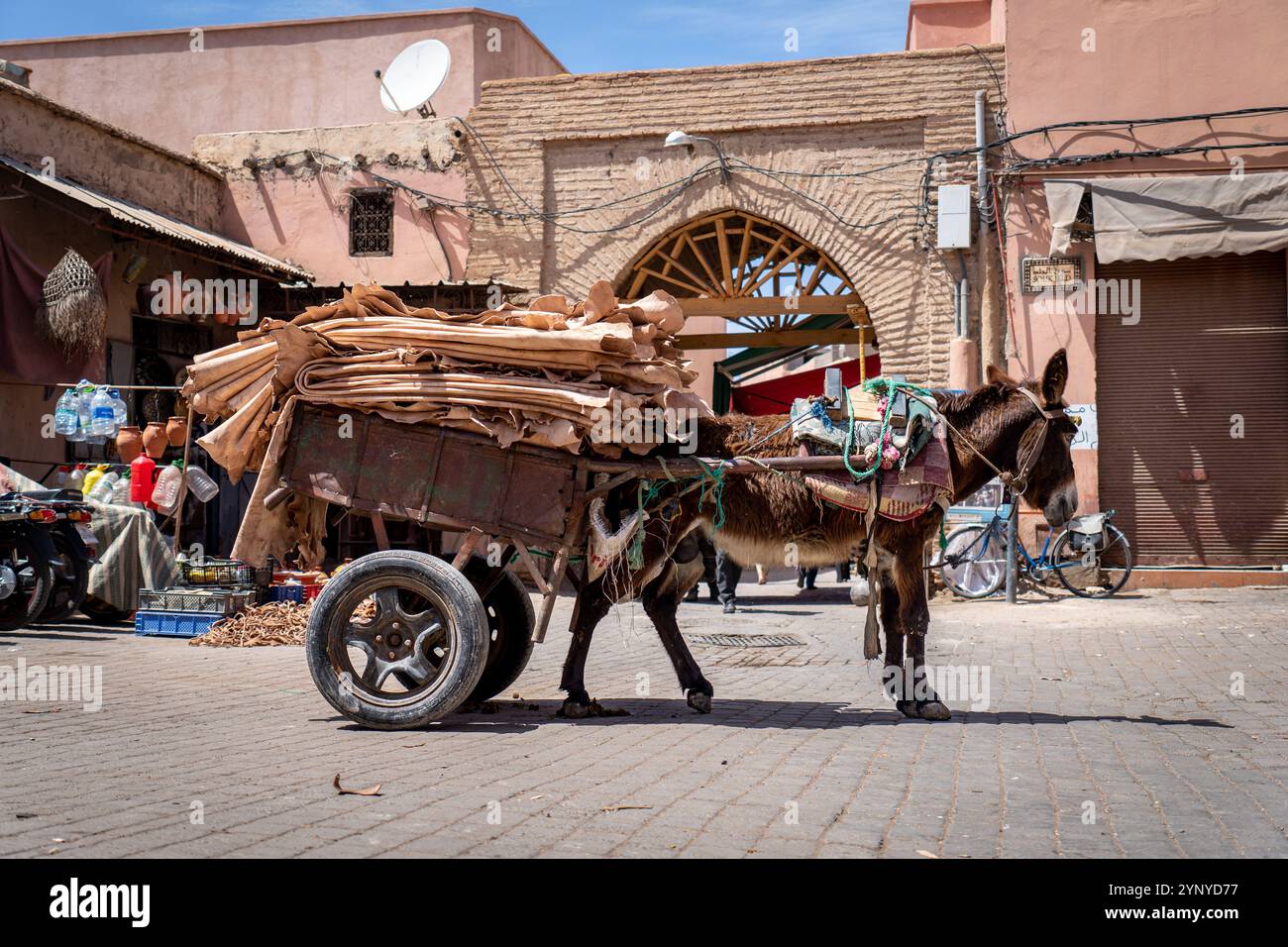Asino con carrello pieno di pelli in una piccola piazza a Marrakech, Marocco Foto Stock