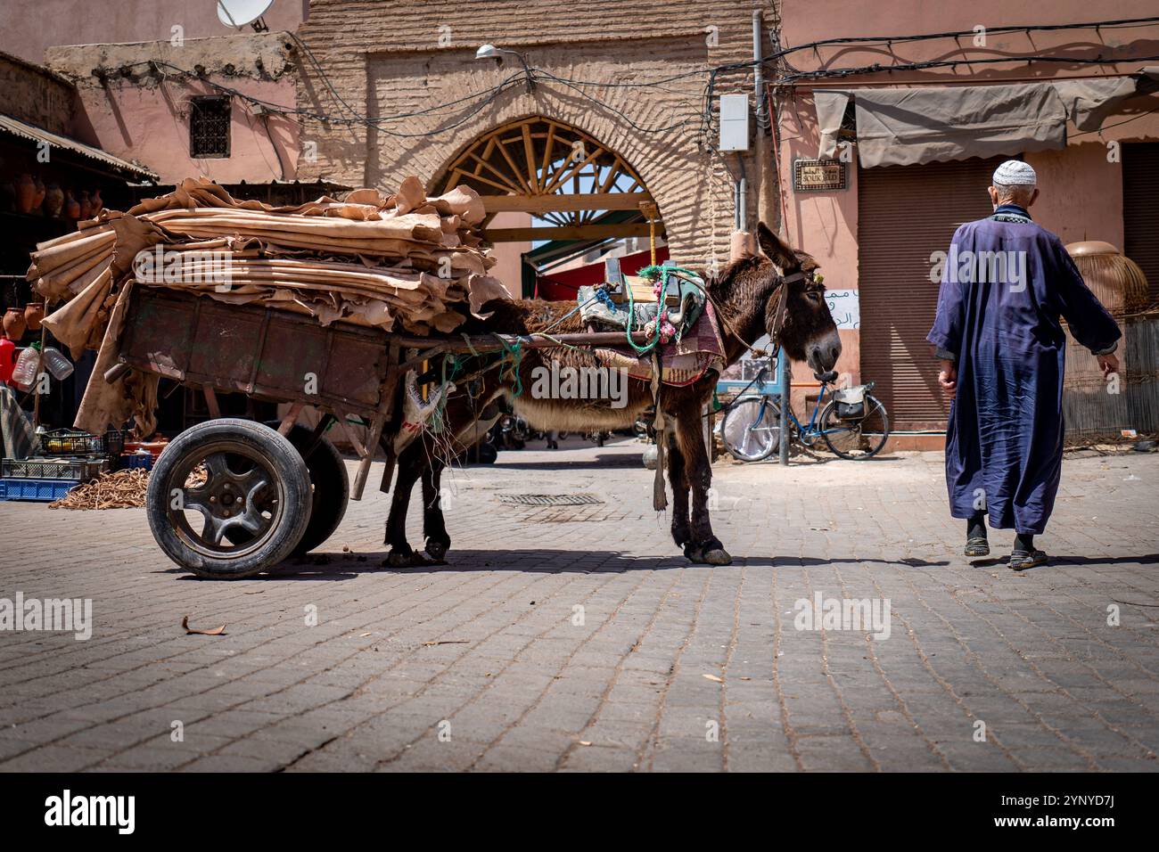 Irriconoscibile uomo musulmano con asino e carrello pieno di pelli in una piccola piazza di Marrakech Foto Stock