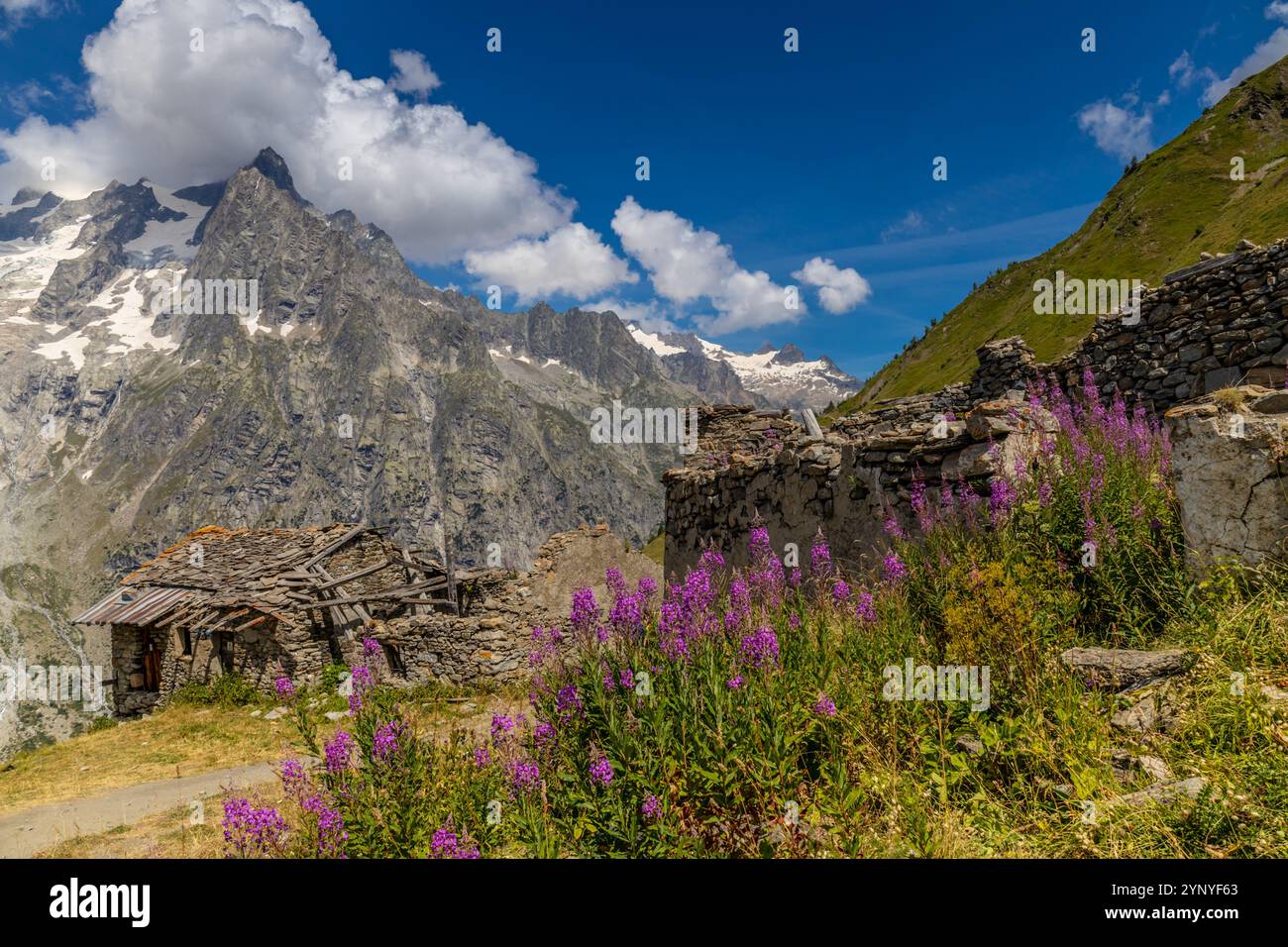 Il paesaggio montano della Val Ferret nelle Alpi. Tour del Monte bianco con splendida vista panoramica dal sentiero escursionistico lungo il tragitto da Itlay alla Svizzera Foto Stock