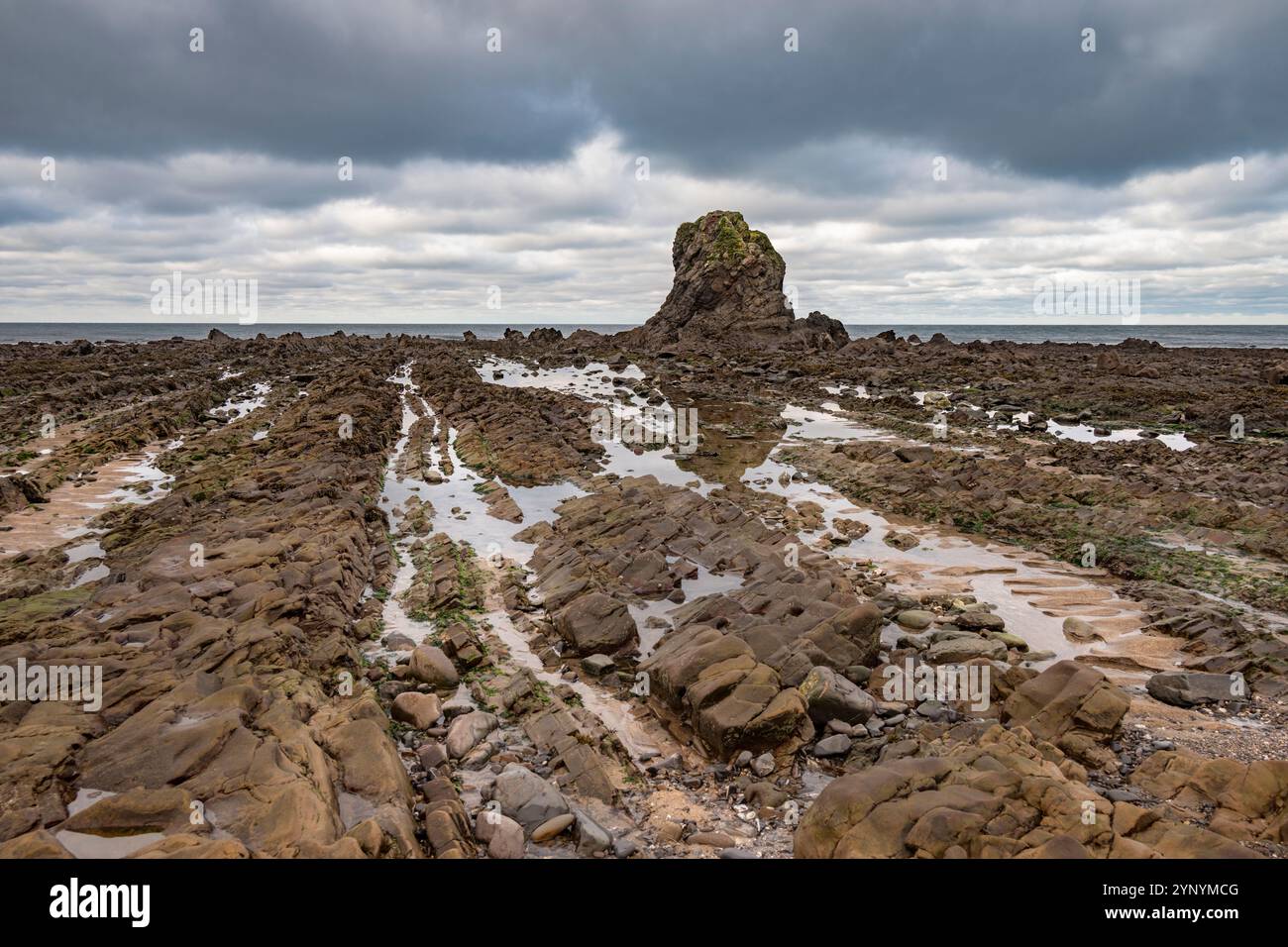 Black Rock e riflesso con la bassa marea sulla spiaggia di Widemouth Bay, Inghilterra sud-occidentale, Regno Unito Foto Stock