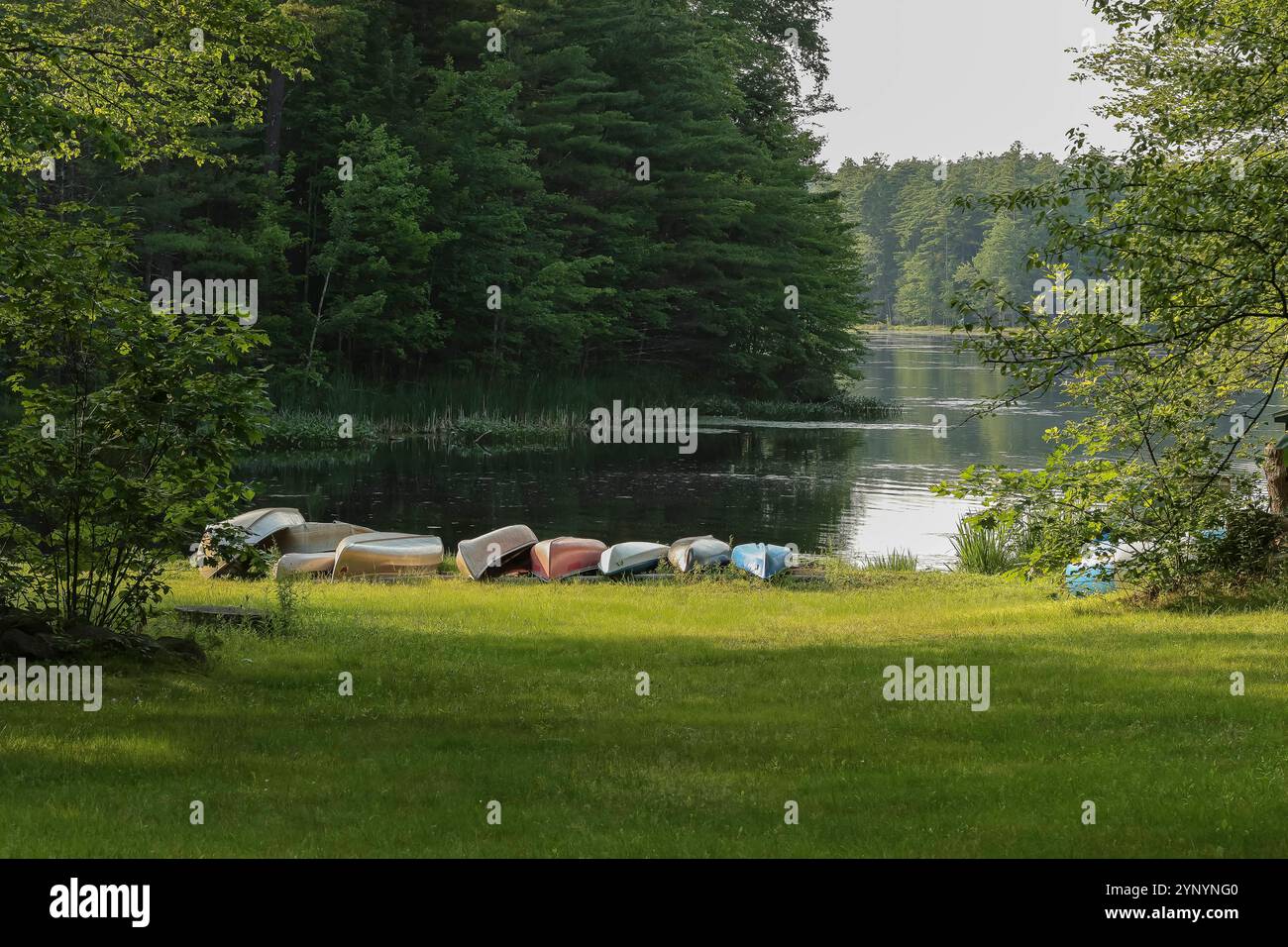 Questa area campeggio è a conduzione familiare e si trova a Scenic Southern, New Hampshire. Ci sono almeno 150 siti boschivi, tra cui allacciamenti completi premium WSE e rura Foto Stock