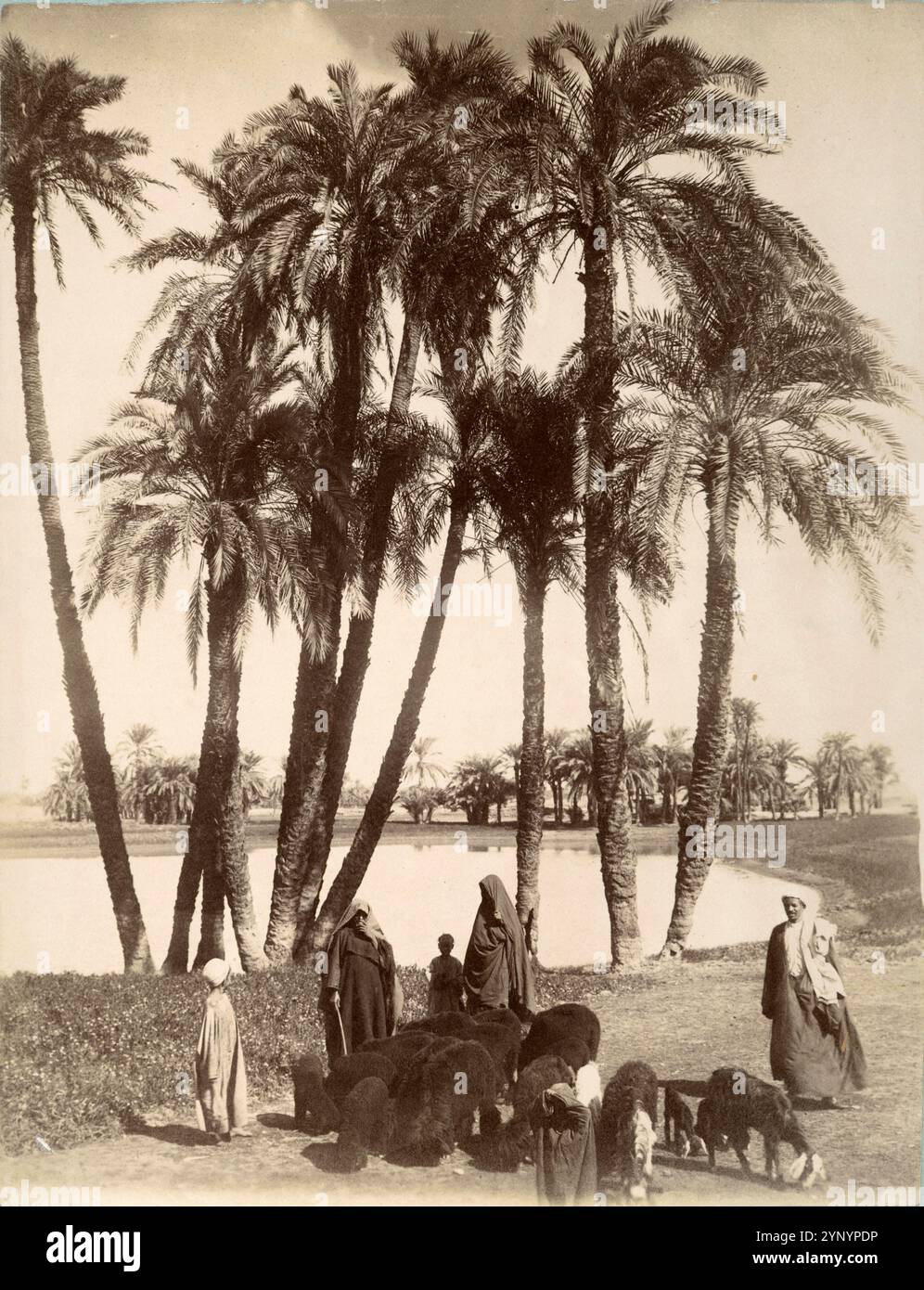 Egitto Un gruppo di donne, bambini e un uomo con pecore e capre sull'acqua - 1860 - 1869 Foto Stock