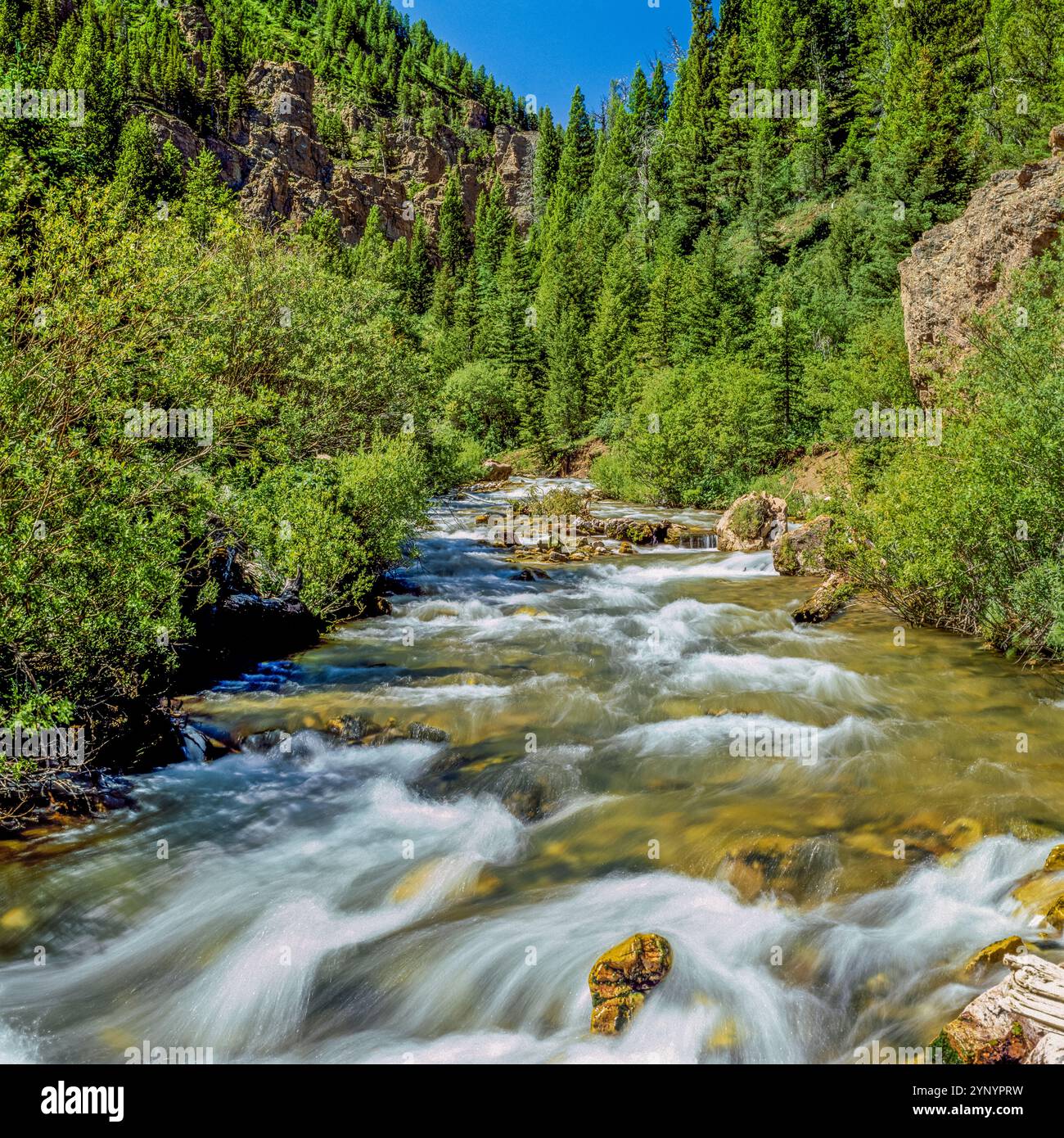 il torrente ruggente che scorre dalle montagne centenarie sullo spartiacque continentale vicino al lago, montana Foto Stock