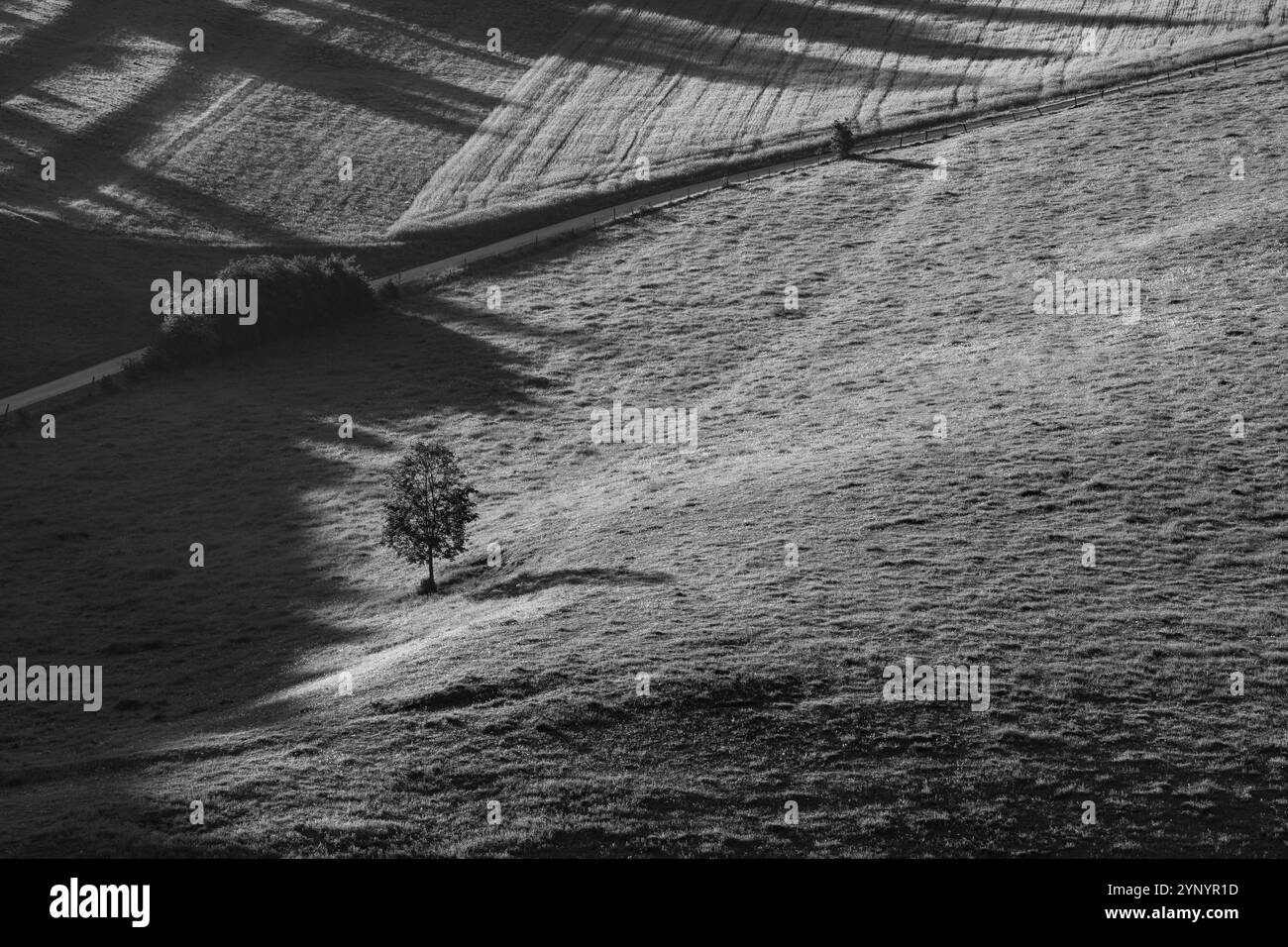 Alba nella valle di Eselsburger in bianco e nero Foto Stock