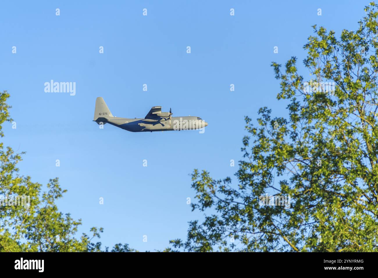 OLDENZAAL, PAESI BASSI, 6 SETTEMBRE 2023: Basso volo C-130H lockheed Martin Hercules della Royal Airforce olandese. Si tratta di un motore turboelica a quattro motori Foto Stock