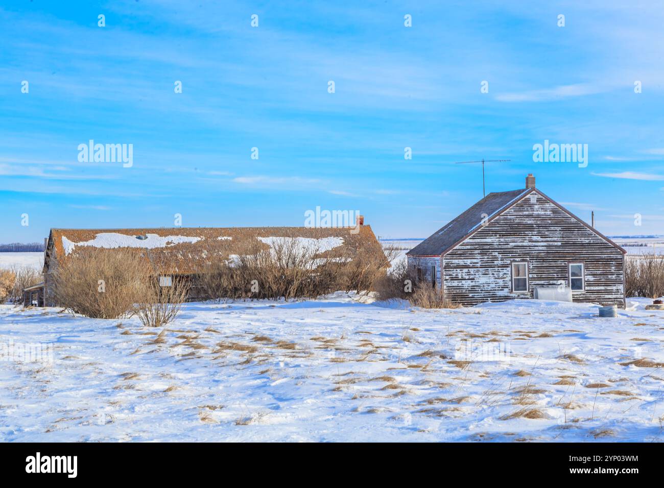 Una piccola casa si trova in un campo innevato. La casa è vecchia e ha un aspetto maledetto. Il cielo è limpido e blu, e la neve copre il terreno. Foto Stock