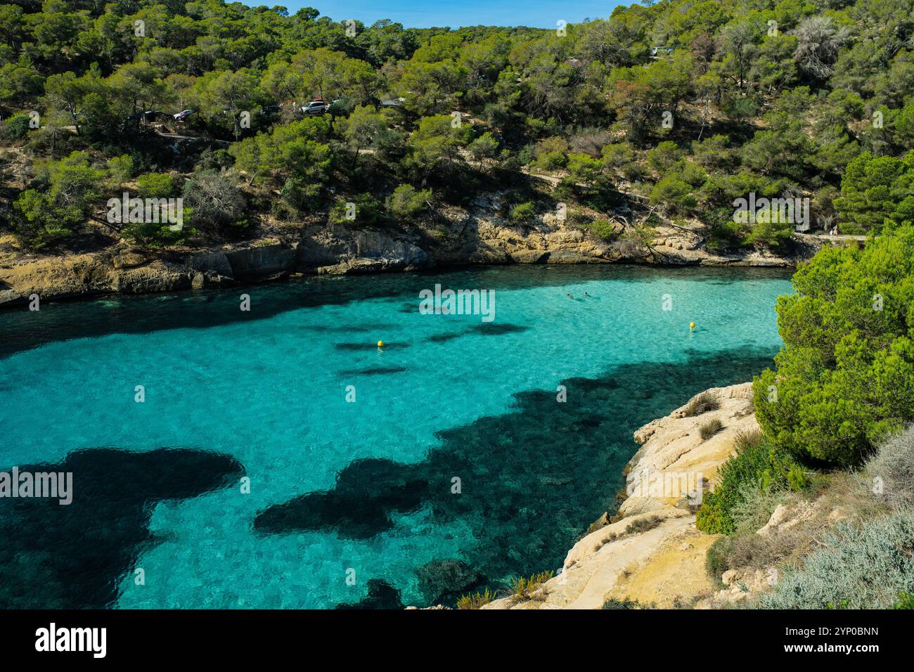 La spiaggia di Platja del Rei, Maiorca, Spagna. Foto Stock