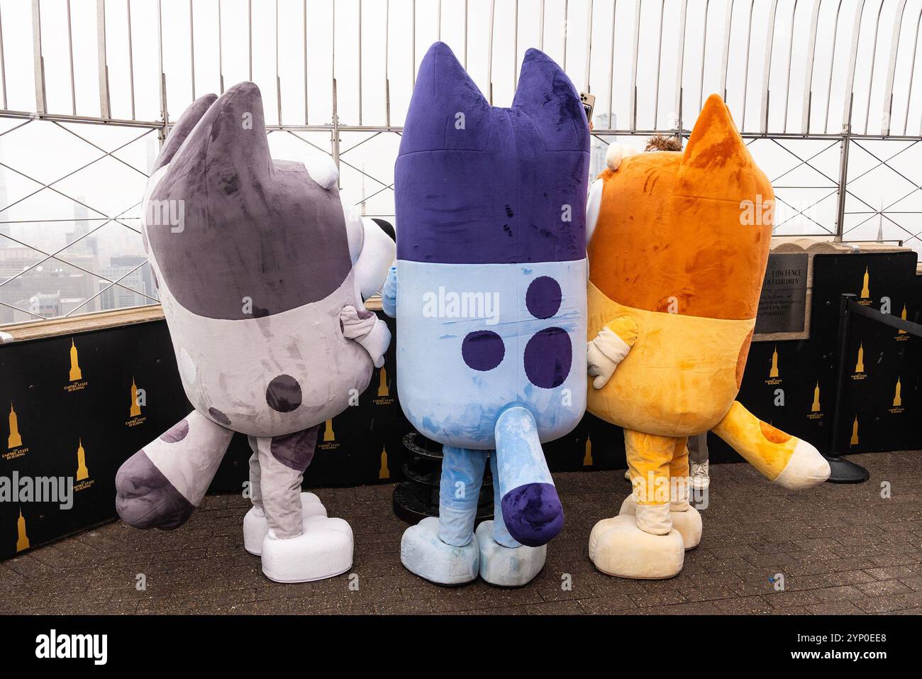 New York, Stati Uniti. 22 novembre 2024. Muffin, Bluey, Bingo della serie televisiva animata Disney 'Bluey' visiterete l'Empire State Building di New York prima della parata del giorno del Ringraziamento di Macy, dove volerà la mongolfiera di Bluey. (Foto di Lev Radin/Pacific Press) credito: Pacific Press Media Production Corp./Alamy Live News Foto Stock