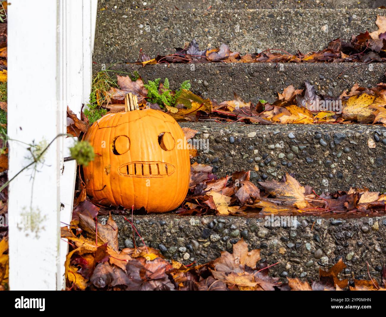 Zucca di Halloween scolpita a mano su gradini ricoperti di foglie Foto Stock