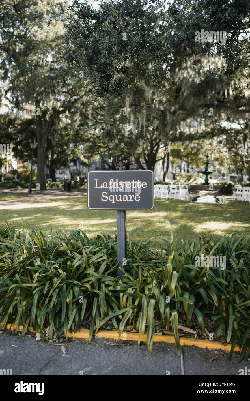 Lafayette Square a Savannah, Georgia, con querce, muschio spagnolo e vegetazione lussureggiante nel quartiere storico Foto Stock