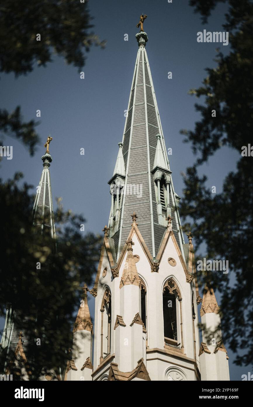 Le guglie di una storica chiesa in stile gotico in Lafayette Square, Savannah, Georgia, circondata da alberi sotto un cielo azzurro. Foto Stock