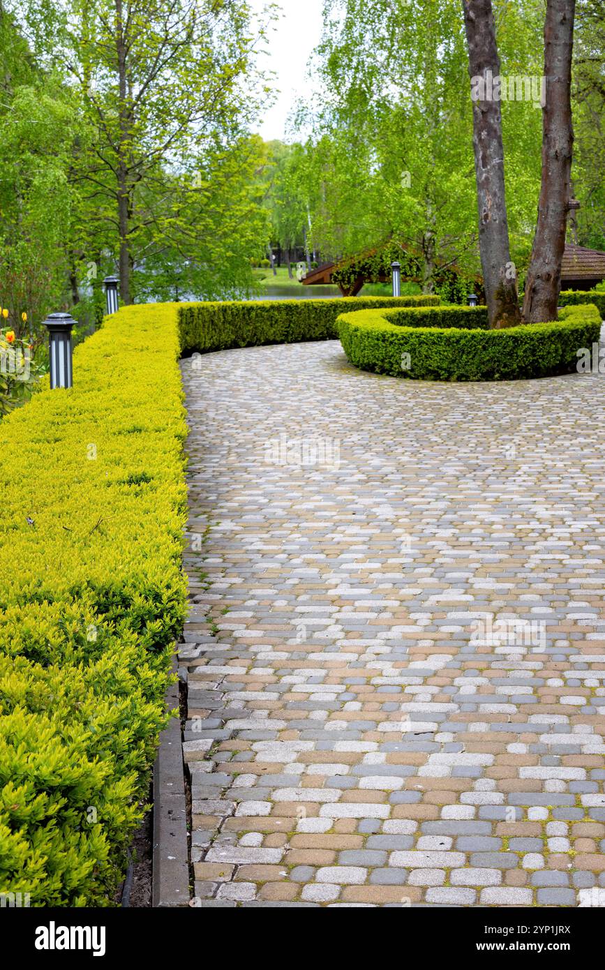 Sentiero curvo in pietra rivestito da siepi verdi vibranti in un tranquillo giardino Foto Stock