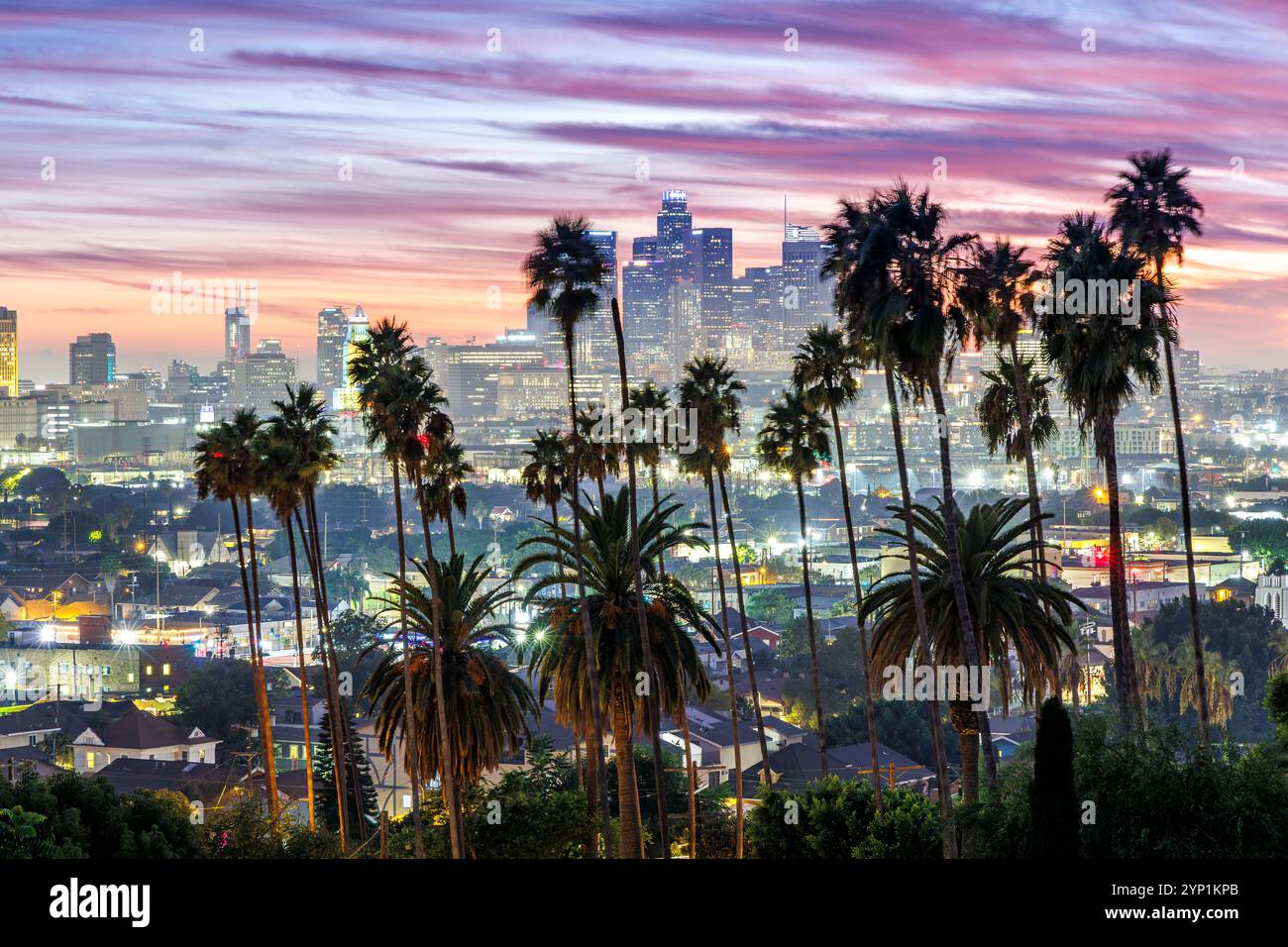 Skyline di Los Angeles e centro città con palme al tramonto a Ela Park, California, Stati Uniti Foto Stock