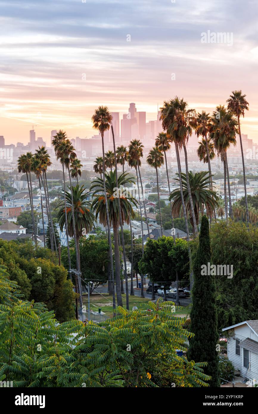 Skyline di Los Angeles e centro città con palme al tramonto in formato ritratto a Ela Park, California, Stati Uniti Foto Stock
