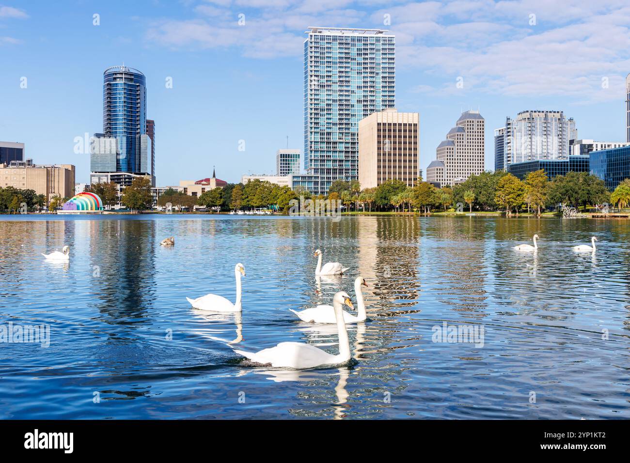 Skyline di Orlando al Lake Eola Park con cigni in centro nella stagione autunnale in Florida negli Stati Uniti Foto Stock