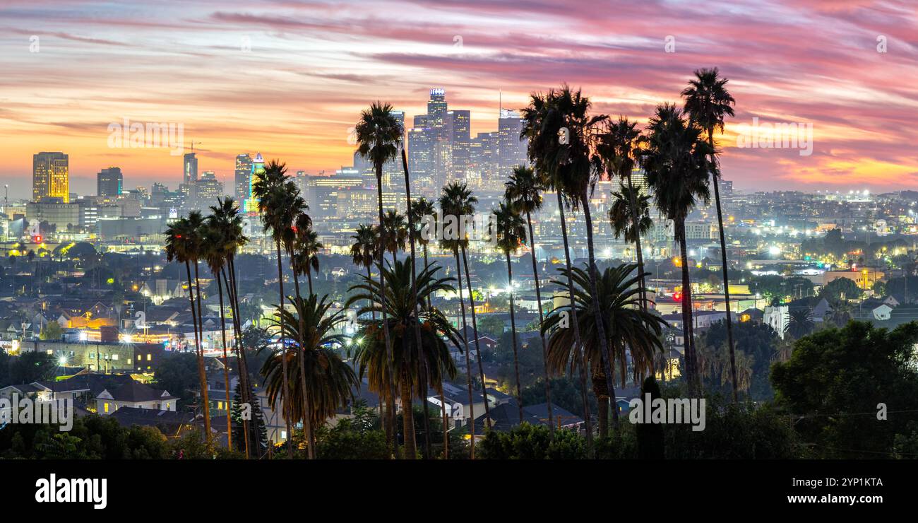 Skyline di Los Angeles e centro città con palme al tramonto a Ela Park, California, Stati Uniti Foto Stock