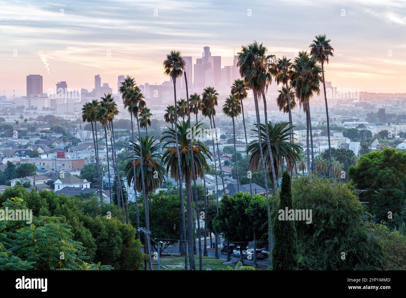 Skyline di Los Angeles e centro città con palme al tramonto a Ela Park, California, Stati Uniti Foto Stock