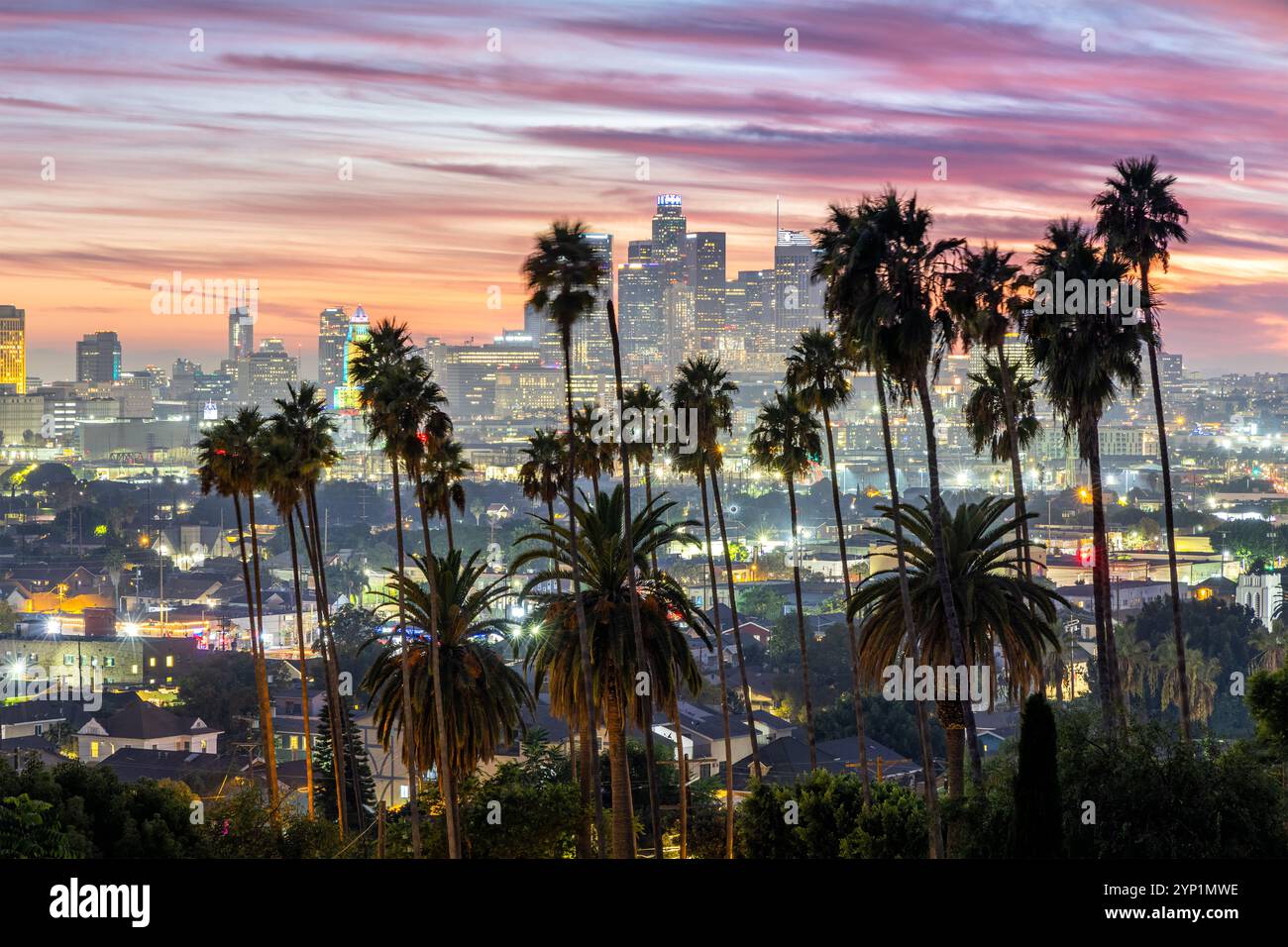 Skyline di Los Angeles e centro città con palme al tramonto a Ela Park, California, Stati Uniti Foto Stock