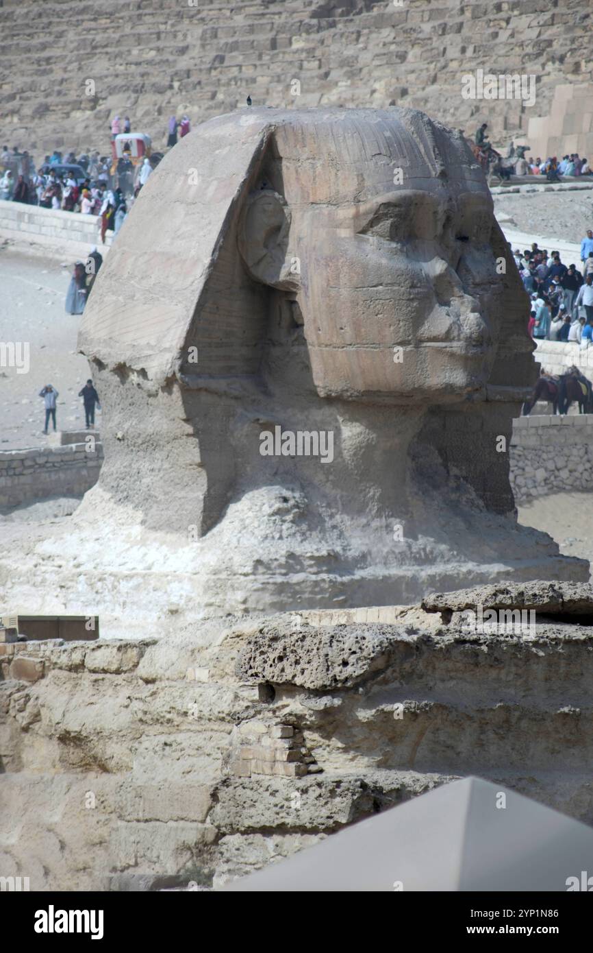 Kairo Ägypten, 20241124, Pyramiden, Giza, Gizeh, Grabanlagen, mit Sphinx *** Cairo Egitto, 20241124, piramidi, Giza, Giza, tombe, con la Sfinge Foto Stock