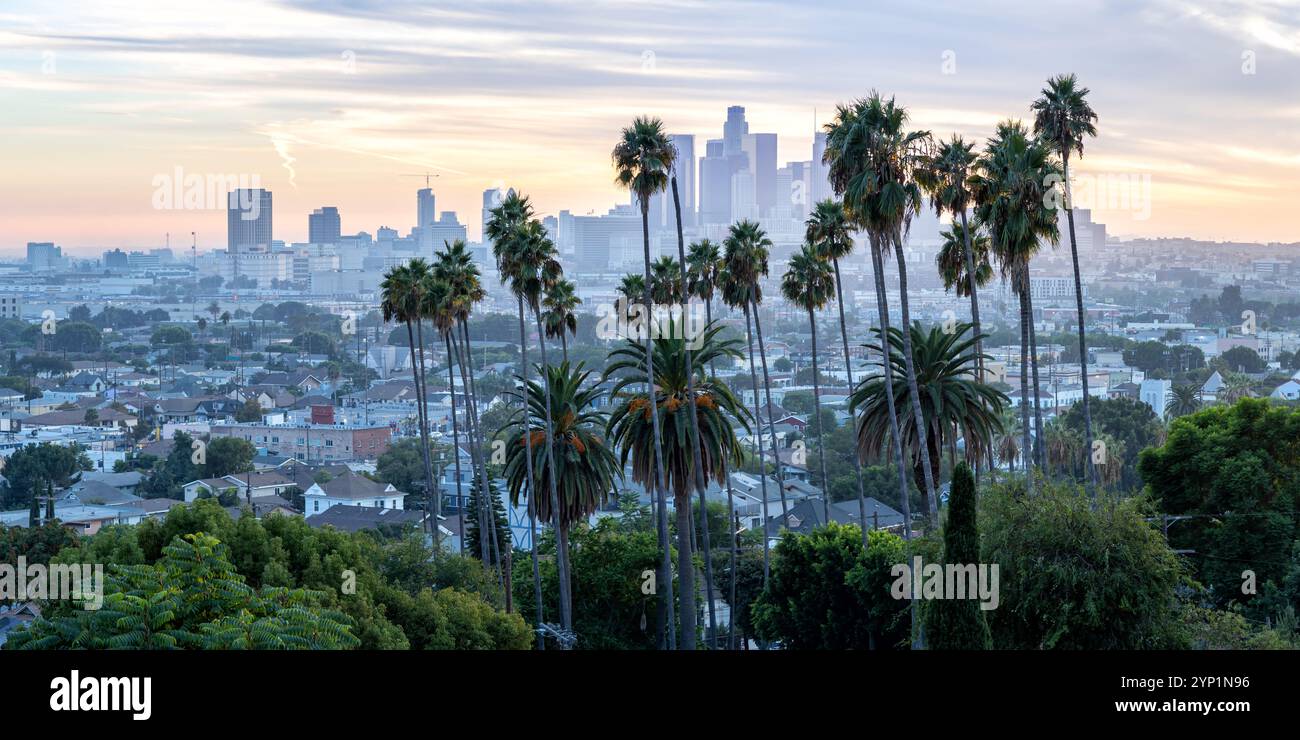 Skyline di Los Angeles e centro città con palme al tramonto a Ela Park, California, Stati Uniti Foto Stock