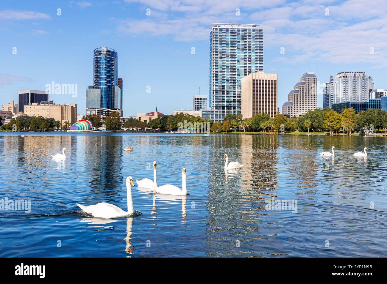 Skyline di Orlando al Lake Eola Park con cigni in centro nella stagione autunnale in Florida negli Stati Uniti Foto Stock